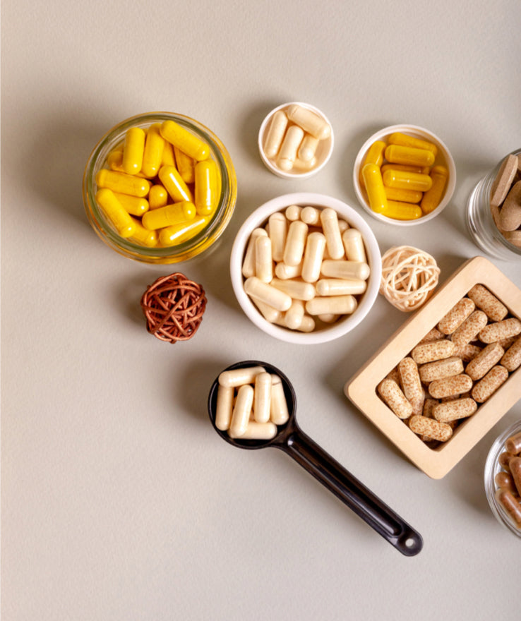 Biologics vs. Traditional Medicines: Revealing the Differences