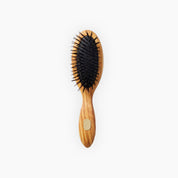 Altesse Beauté Repair & Shine Brush Fine To Medium Hair Petite