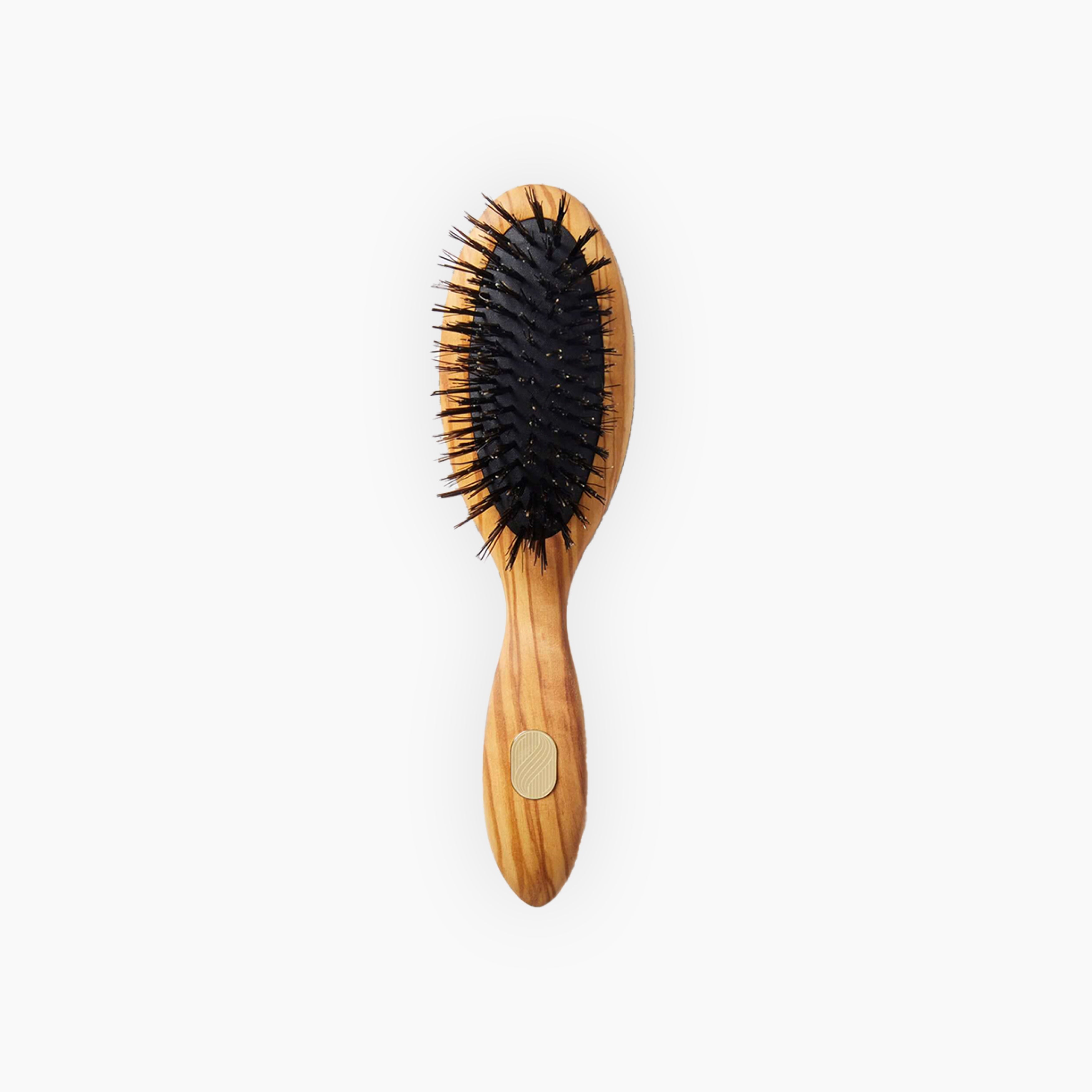 Altesse Repair & Shine Brush Fine To Medium Hair Petite