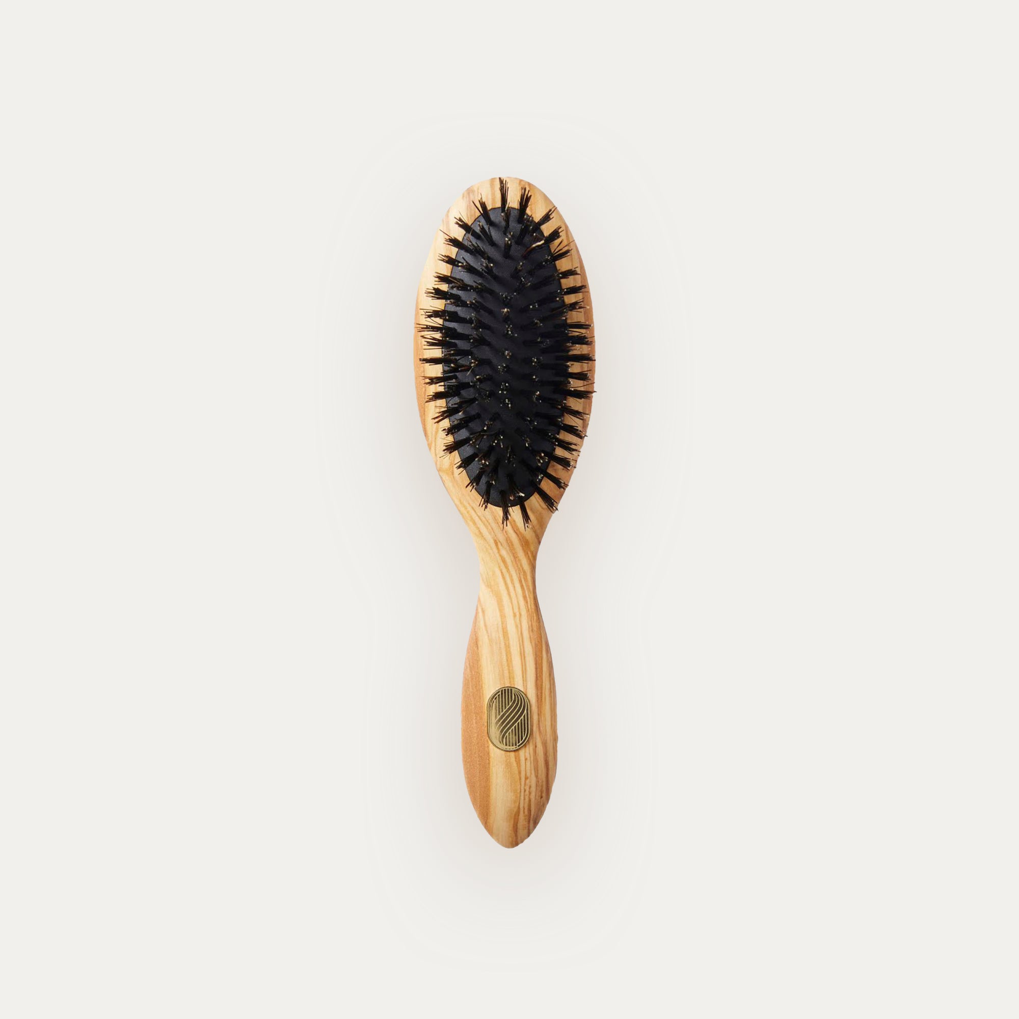 Altesse_Beaute_Repair_Shine_Brush_Thick_Or_Curly_Hair_Petite.jpg