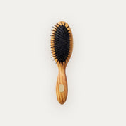 Altesse Beauté Repair & Shine Brush Fine To Medium Hair Petite