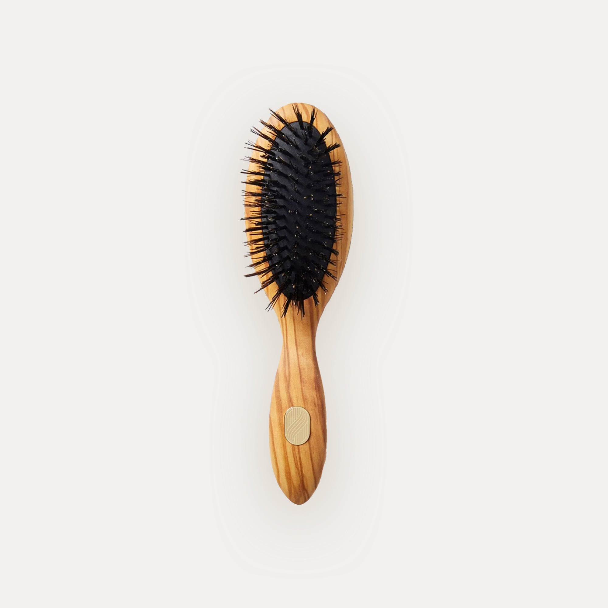 Altesse_Repair_Shine_Brush_Fine_To_Medium_Hair_Petite_20be1fab-e7a9-4e6c-865a-b3490ebfa0c3.jpg