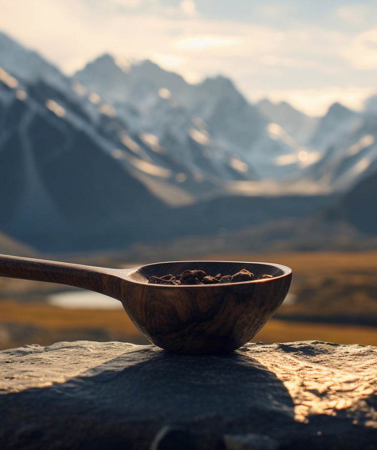 Shilajit, Nature&#39;s Ancient Elixir for Modern Vitality