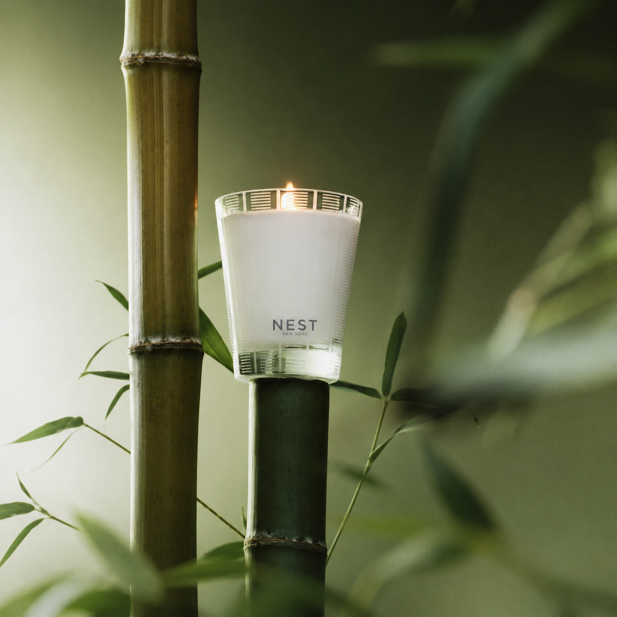 ChatGPT_Image_Jun_3_2026_06_05_41_PM.png