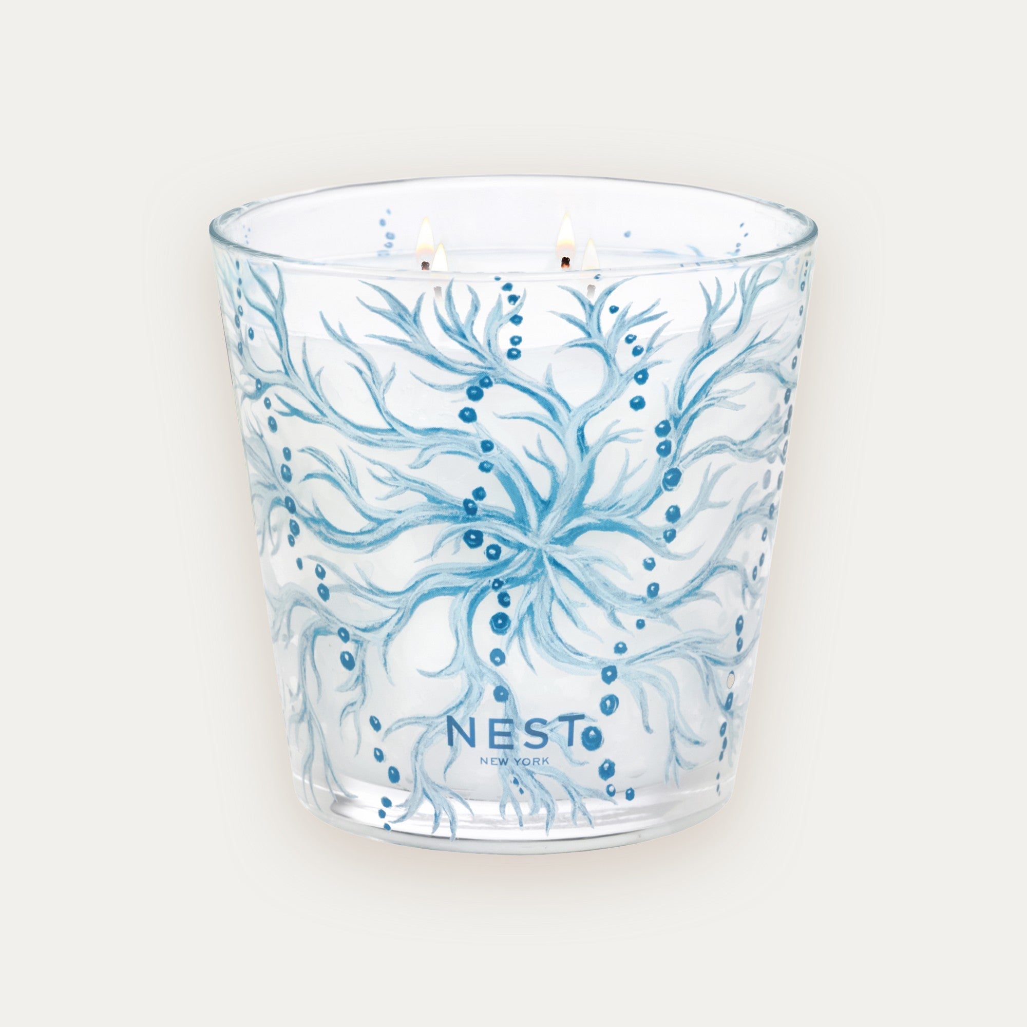NEST_New_York_Ocean_Mist_and_Sea_Salt_Speciality_Luxury_Candle_47.3oz_21e4d160-e12e-45bb-a2ed-cbedf02587f2.jpg